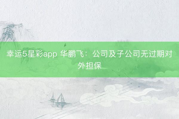 幸运5星彩app 华鹏飞:公司及子公司无过期对外担保