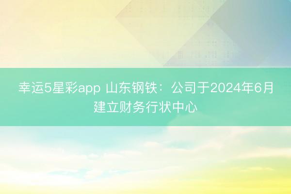 幸运5星彩app 山东钢铁:公司于2024年6月建立财务行状中心