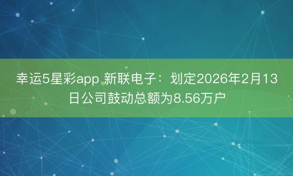 幸运5星彩app 新联电子:划定2026年2月13日公司鼓动总额为8.56万户